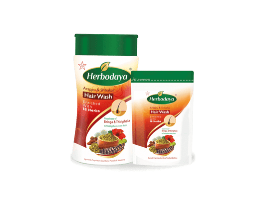 The anti-fungal qualities of Shikakai hair wash powder nourish the scalp and shield it from issues like irritation and dryness. Being one of the primary components of  Shikakai's antifungal qualities hydrate and protect your scalp from drying out and itching. In the Indian subcontinent, shikakai has long been used as a natural conditioner and Ayurvedic hair wash. It has an abundance of vitamins and antioxidants, both of which are necessary for healthy hair development.